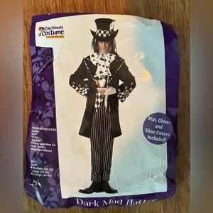 Dark Mad Hatter Costume - Open Box